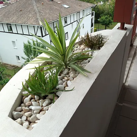 Hendaye, 2 Pièces, 4 Personnes - Fr-1-239-777 Appartamento